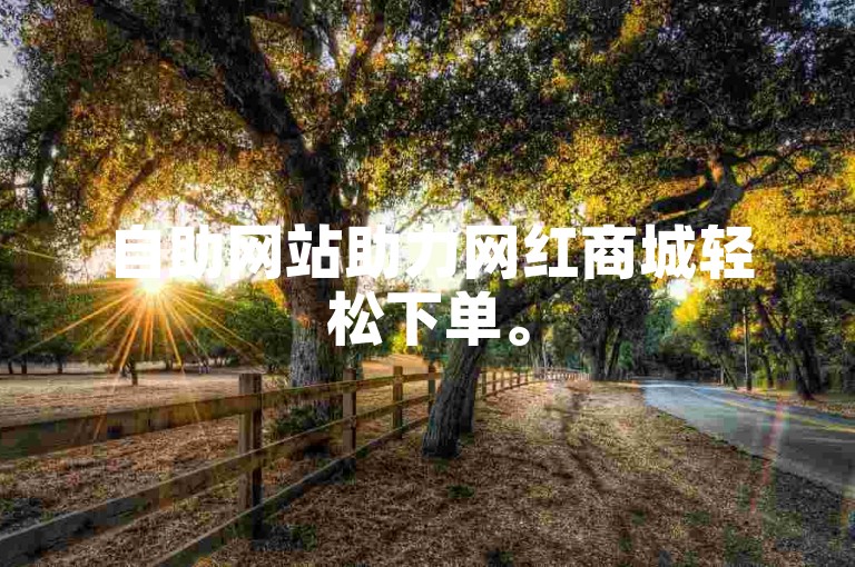 自助网站助力网红商城轻松下单。