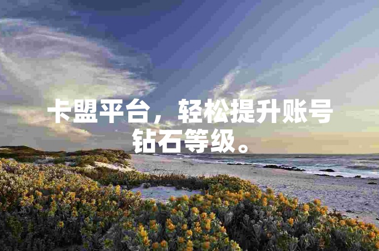 卡盟平台，轻松提升账号钻石等级。