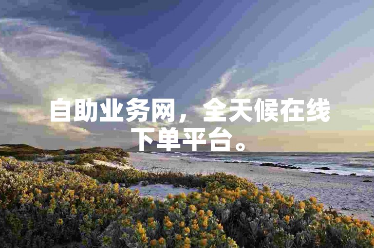 自助业务网，全天候在线下单平台。