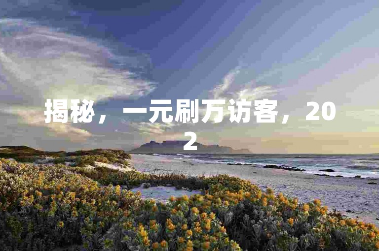 揭秘，一元刷万访客，2025必备技巧！