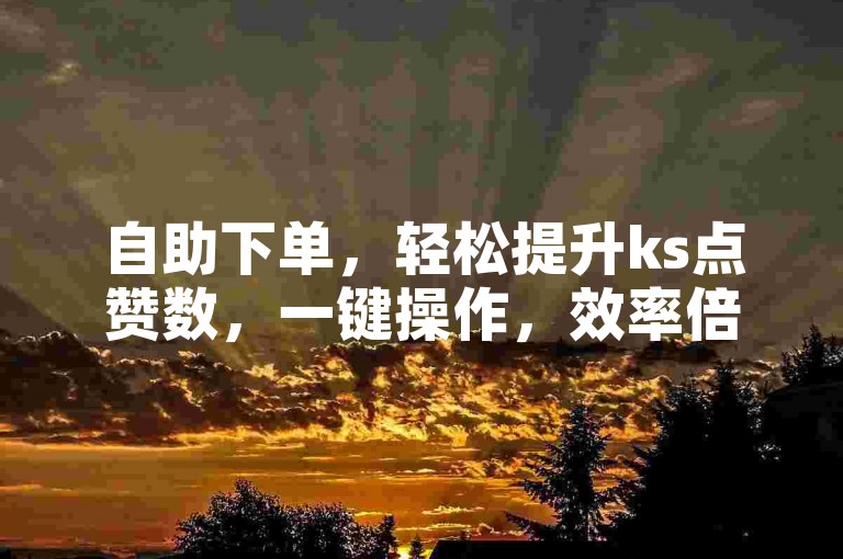 自助下单，轻松提升ks点赞数，一键操作，效率倍增。