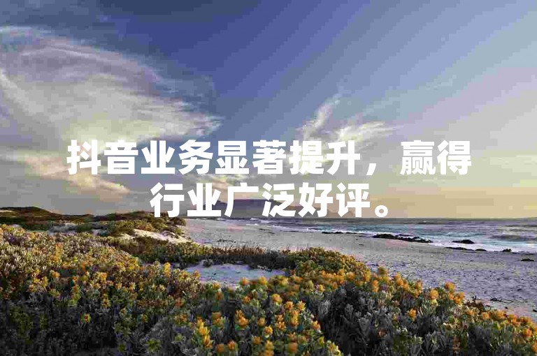 抖音业务显著提升，赢得行业广泛好评。