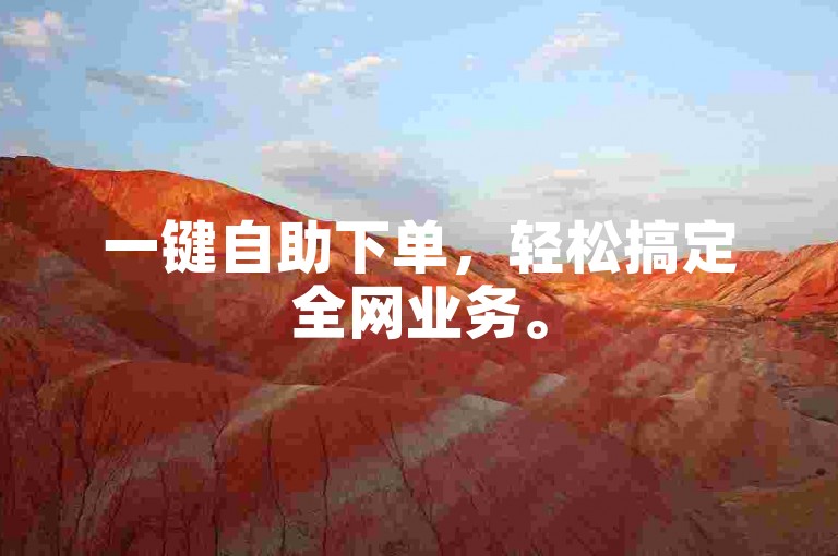 一键自助下单，轻松搞定全网业务。