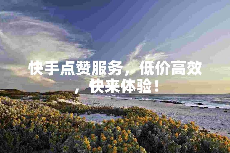 快手点赞服务，低价高效，快来体验！