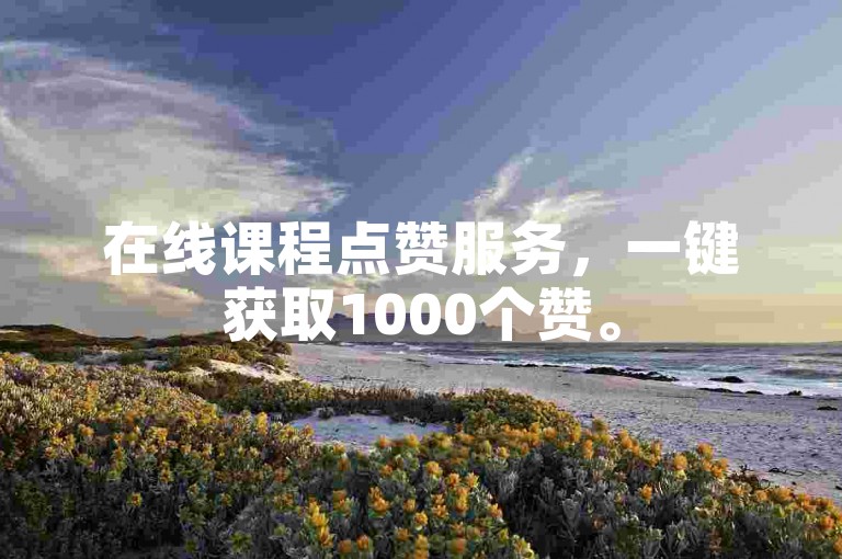在线课程点赞服务，一键获取1000个赞。