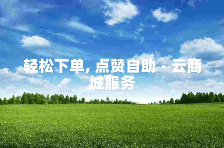 轻松下单, 点赞自助 - 云商城服务