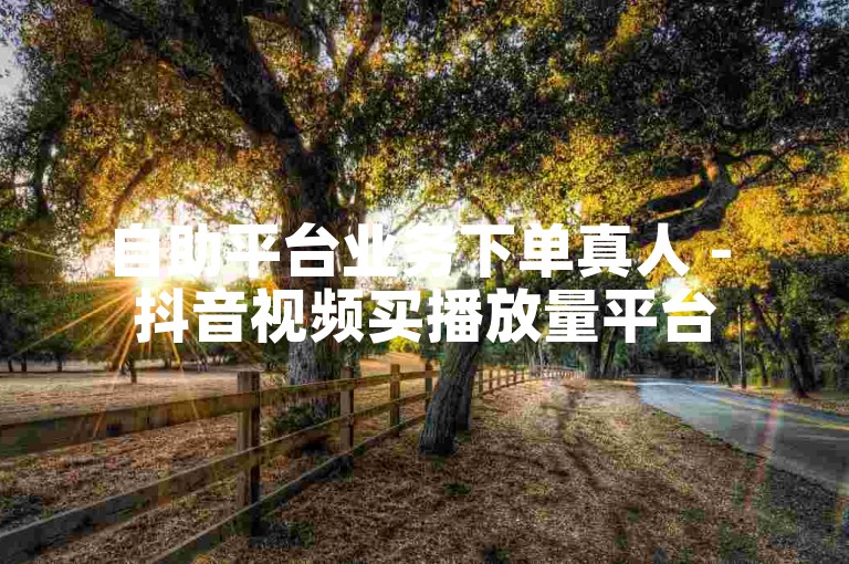 自助平台业务下单真人 - 抖音视频买播放量平台