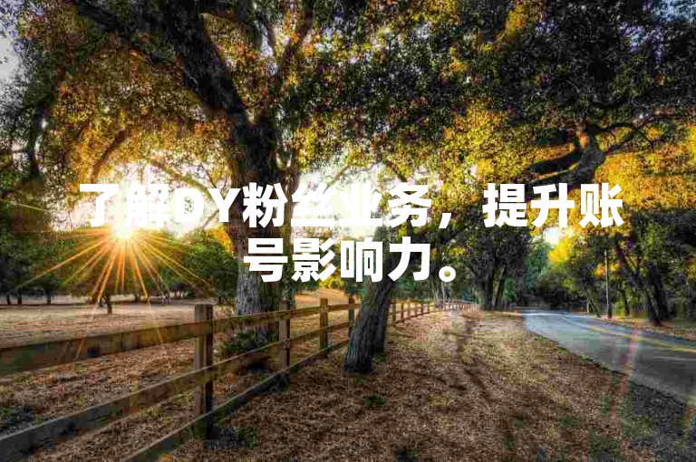 了解DY粉丝业务，提升账号影响力。