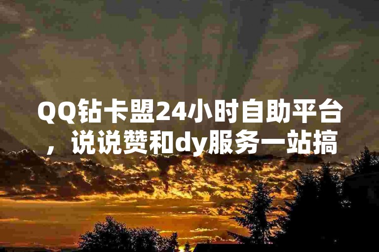 QQ钻卡盟24小时自助平台，说说赞和dy服务一站搞定。