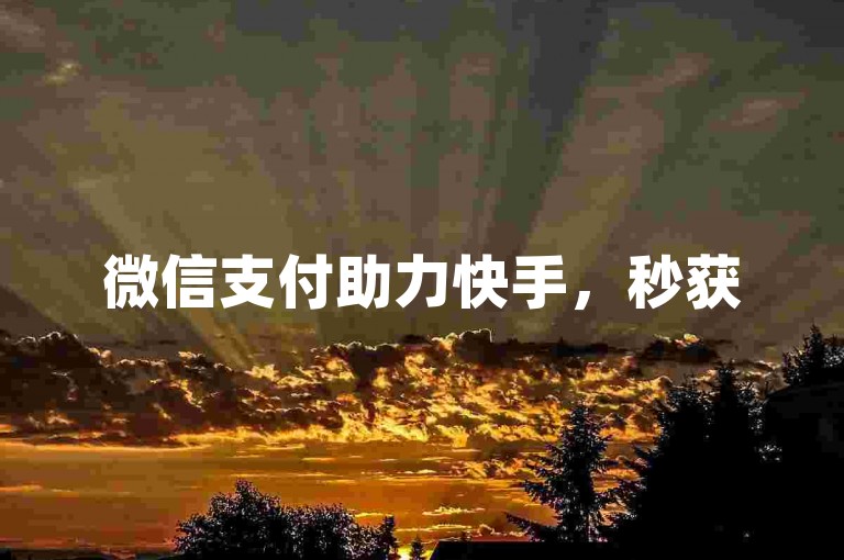 微信支付助力快手，秒获5000赞。