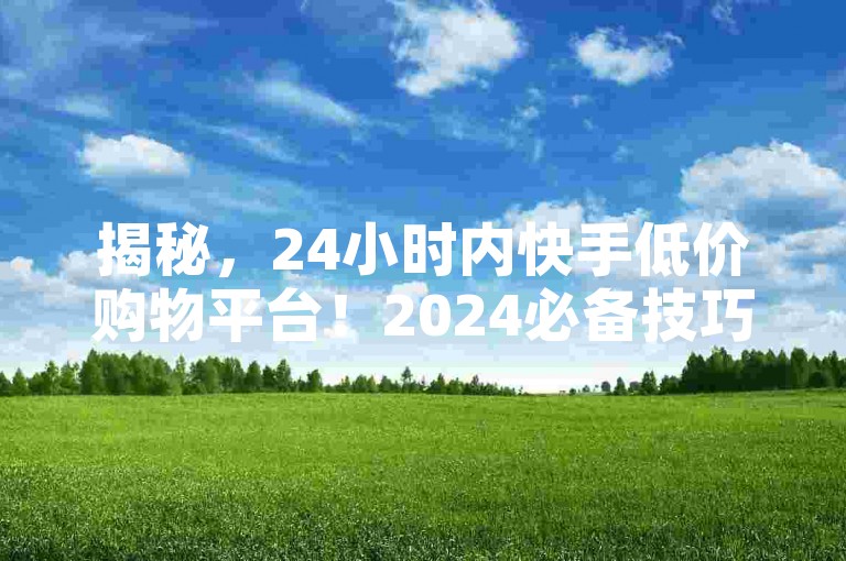 揭秘，24小时内快手低价购物平台！2024必备技巧。