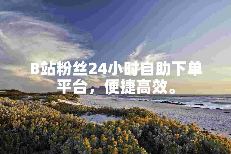 B站粉丝24小时自助下单平台，便捷高效。