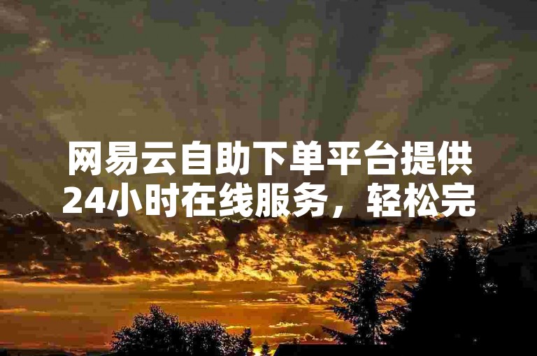 网易云自助下单平台提供24小时在线服务，轻松完成业务需求。