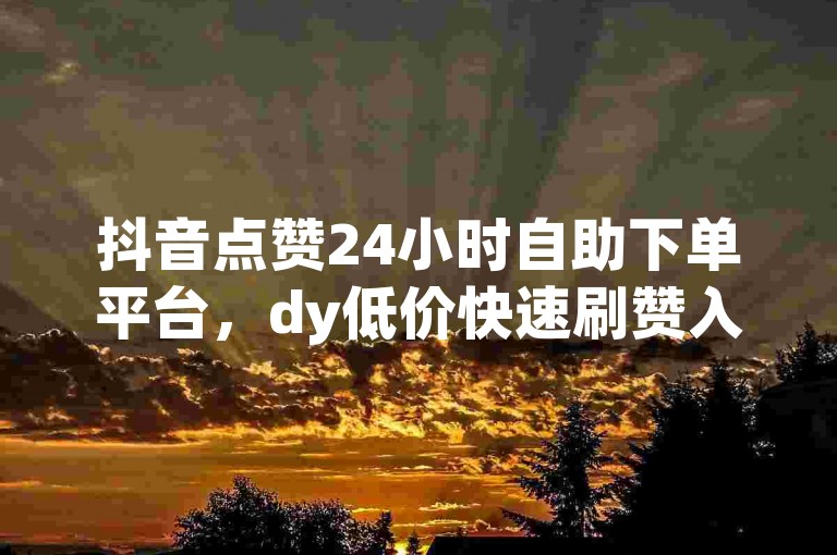 抖音点赞24小时自助下单平台，dy低价快速刷赞入口。