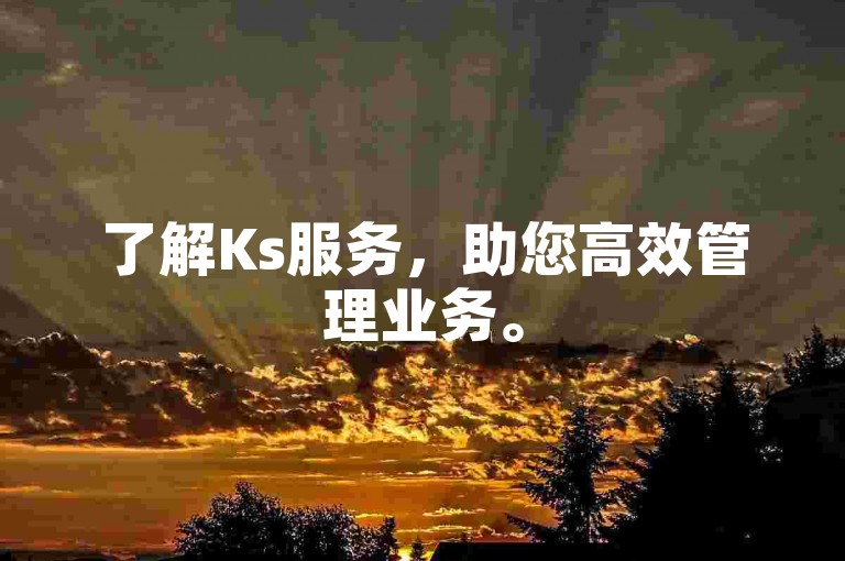 了解Ks服务，助您高效管理业务。