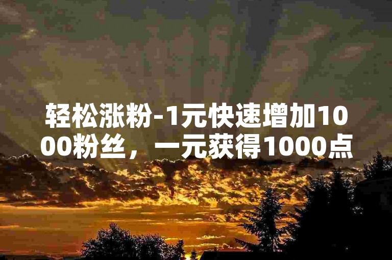 轻松涨粉-1元快速增加1000粉丝，一元获得1000点赞。