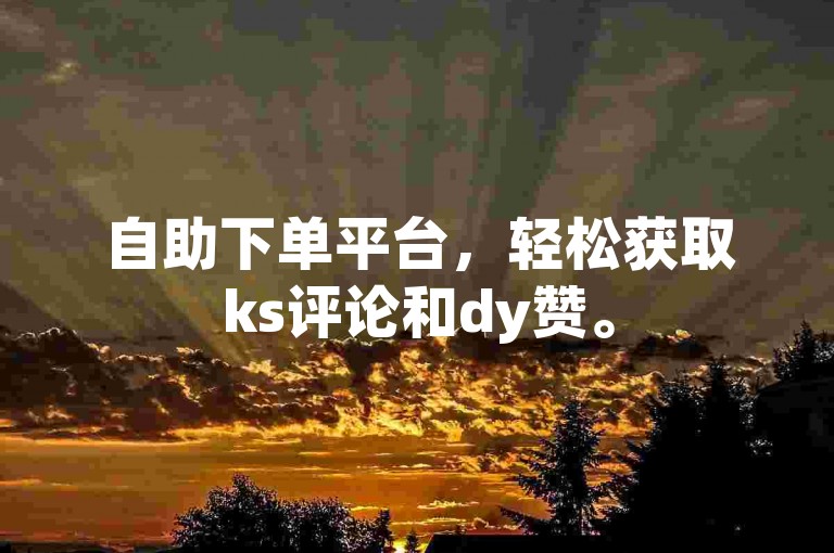 自助下单平台，轻松获取ks评论和dy赞。
