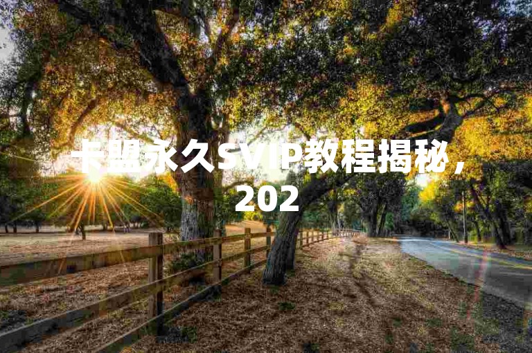 卡盟永久SVIP教程揭秘，2025必备技巧！