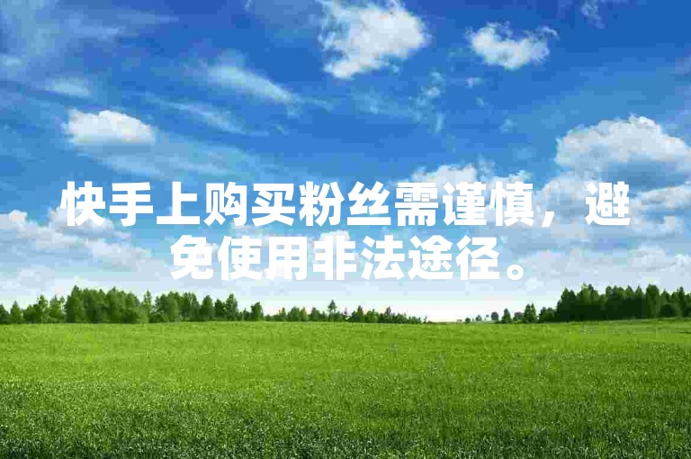 快手上购买粉丝需谨慎，避免使用非法途径。