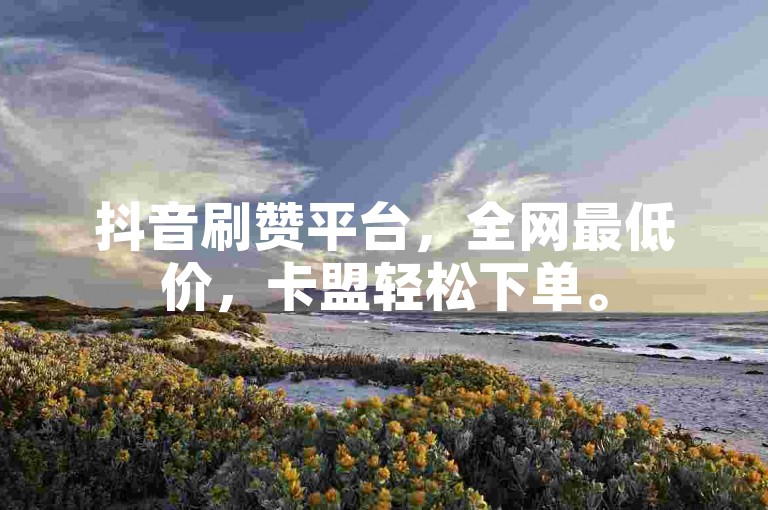 抖音刷赞平台，全网最低价，卡盟轻松下单。