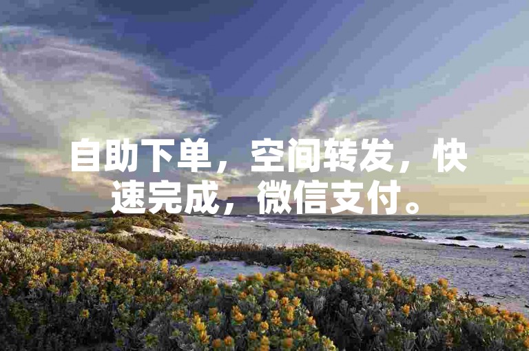 自助下单，空间转发，快速完成，微信支付。
