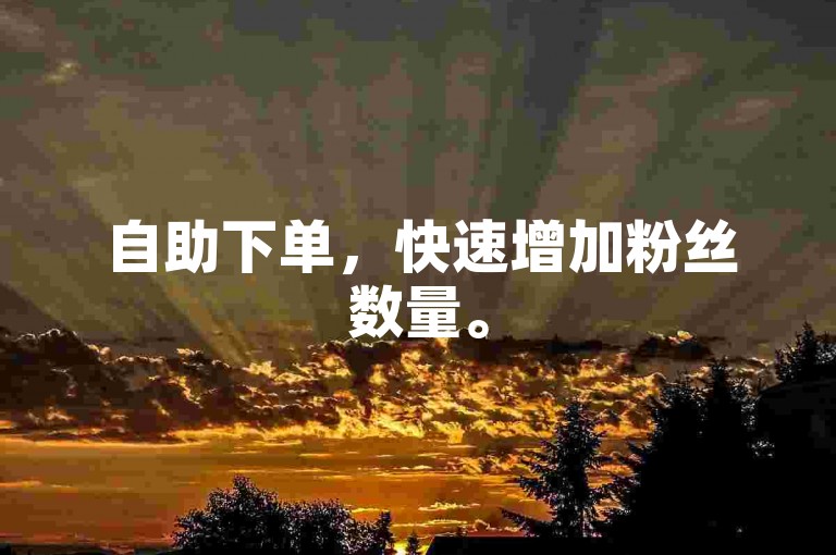 自助下单，快速增加粉丝数量。