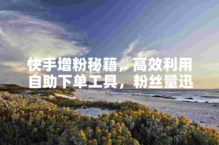 快手增粉秘籍，高效利用自助下单工具，粉丝量迅速破万！
