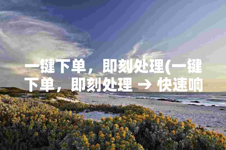 一键下单，即刻处理(一键下单，即刻处理 → 快速响应订单)