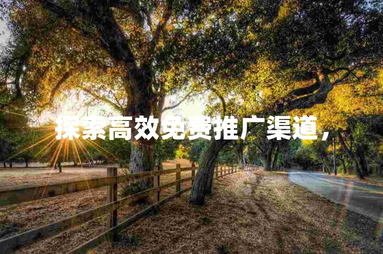 探索高效免费推广渠道，520代刷网助你引流。