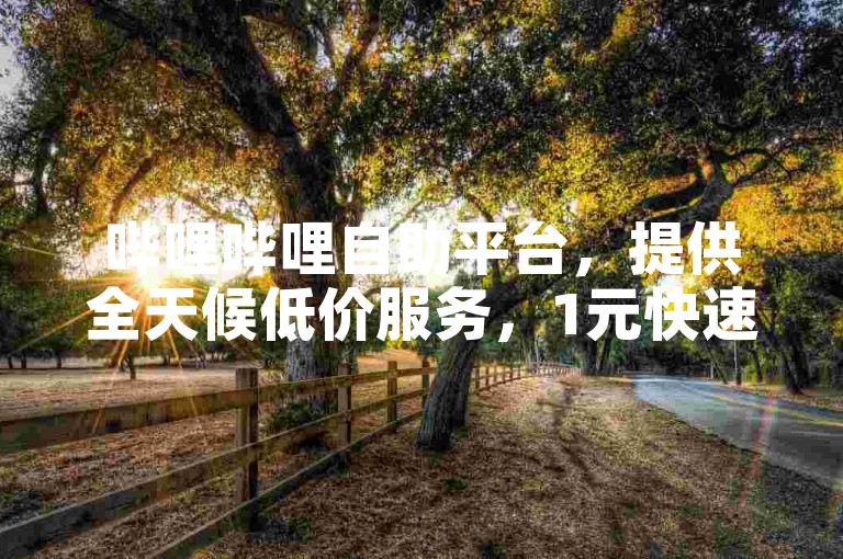 哔哩哔哩自助平台，提供全天候低价服务，1元快速刷粉至1000。