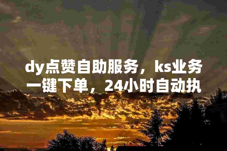 dy点赞自助服务，ks业务一键下单，24小时自动执行。