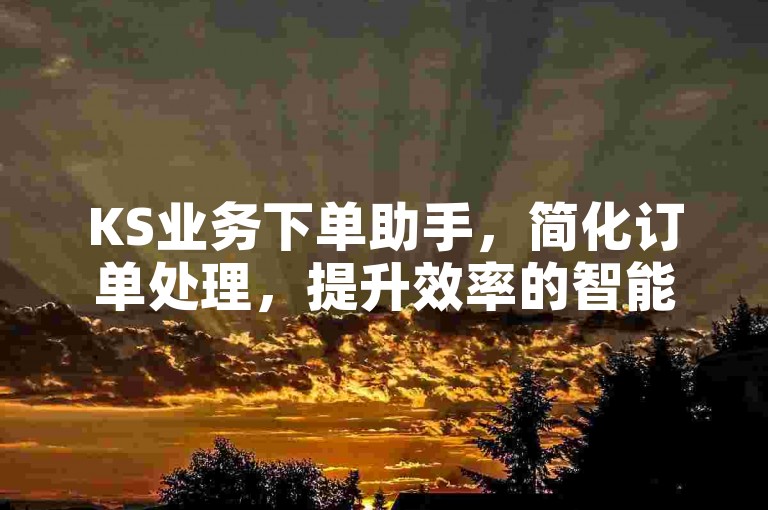 KS业务下单助手，简化订单处理，提升效率的智能工具。