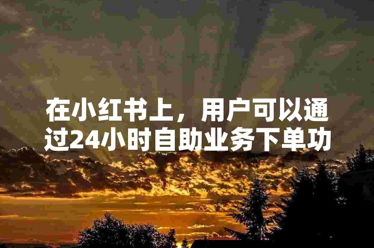 在小红书上，用户可以通过24小时自助业务下单功能快速购买商品或服务。