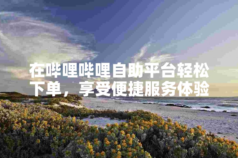在哔哩哔哩自助平台轻松下单，享受便捷服务体验。