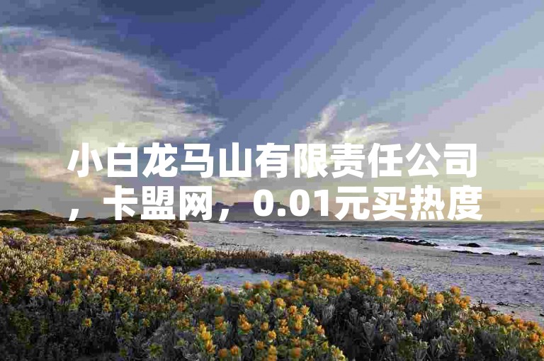 小白龙马山有限责任公司，卡盟网，0.01元买热度。