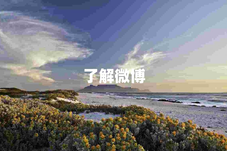 了解微博500粉丝购买入口，请访问官网或客户端。