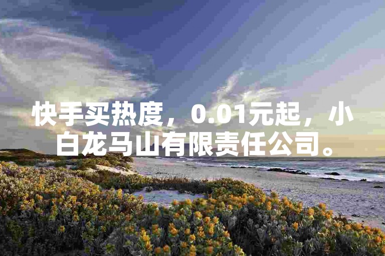 快手买热度，0.01元起，小白龙马山有限责任公司。