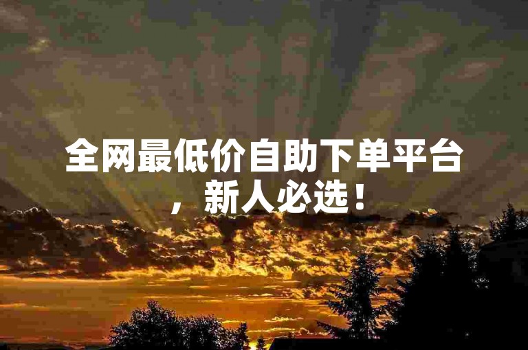 全网最低价自助下单平台，新人必选！