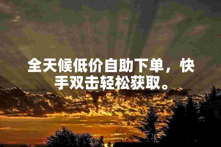 全天候低价自助下单，快手双击轻松获取。
