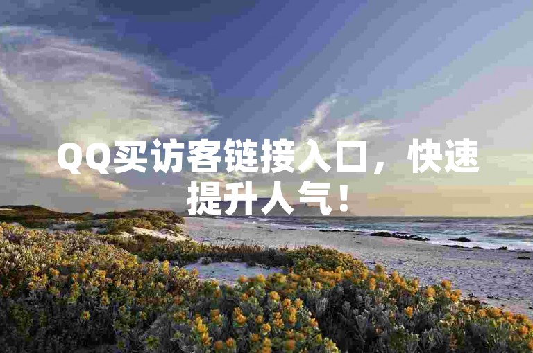 QQ买访客链接入口，快速提升人气！