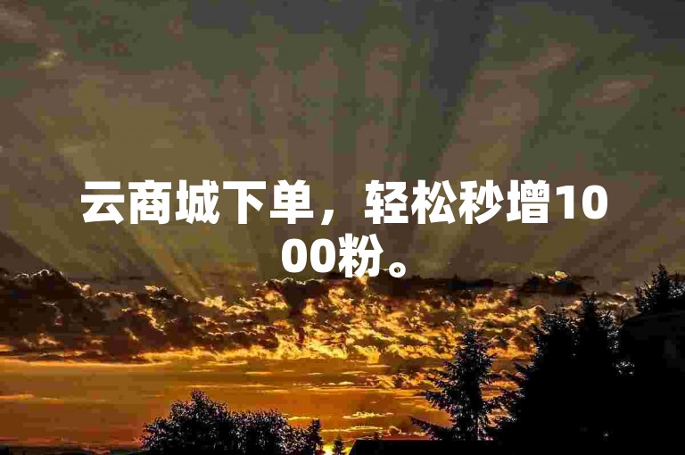 云商城下单，轻松秒增1000粉。