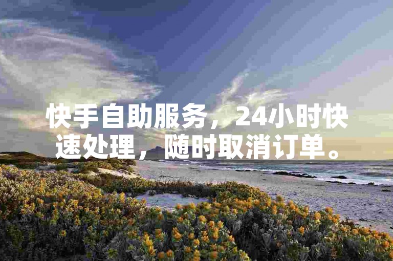 快手自助服务，24小时快速处理，随时取消订单。