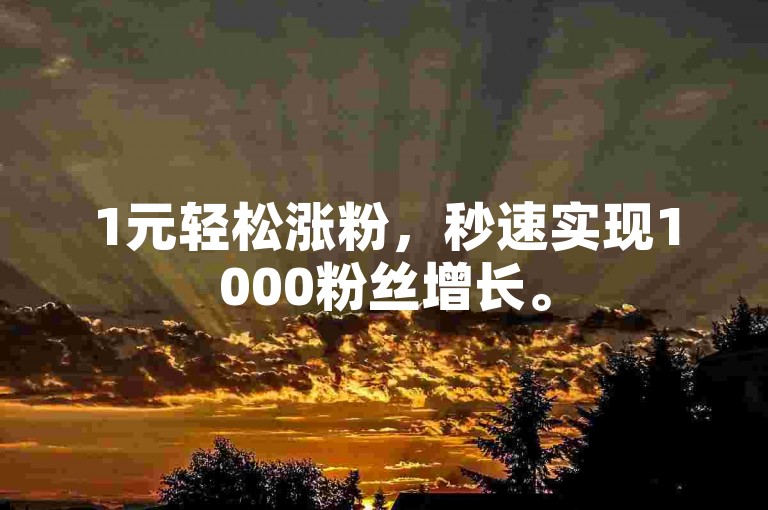 1元轻松涨粉，秒速实现1000粉丝增长。