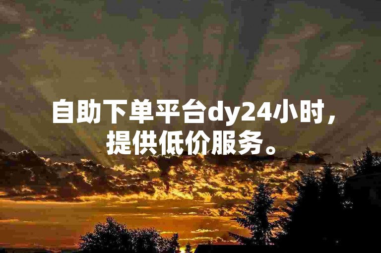 自助下单平台dy24小时，提供低价服务。