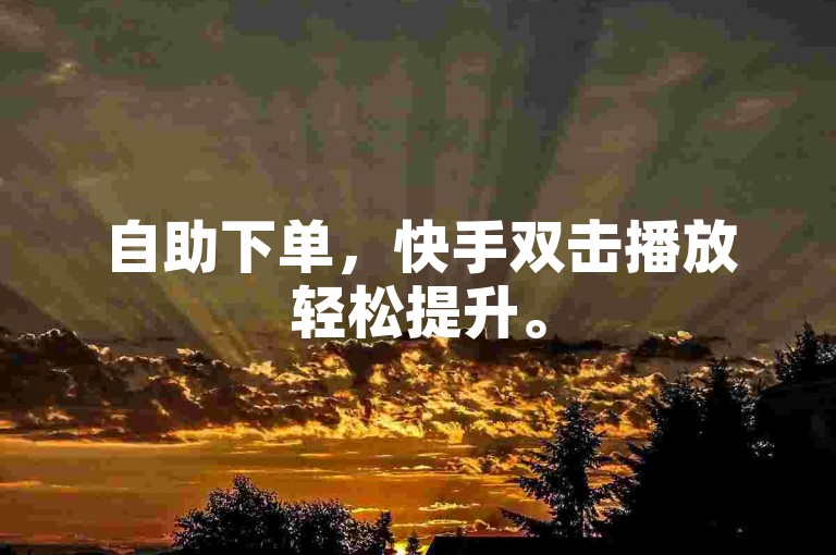 自助下单，快手双击播放轻松提升。