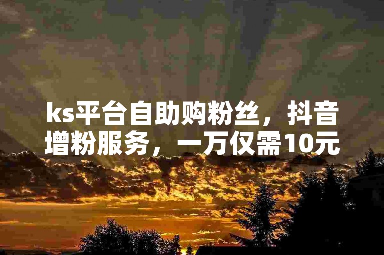 ks平台自助购粉丝，抖音增粉服务，一万仅需10元。