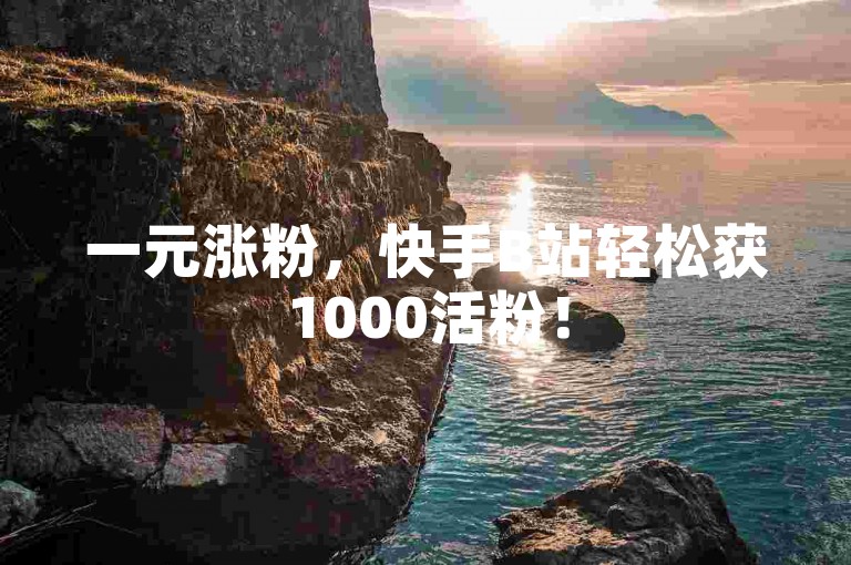 一元涨粉，快手B站轻松获1000活粉！