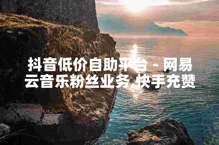 抖音低价自助平台 - 网易云音乐粉丝业务,快手充赞