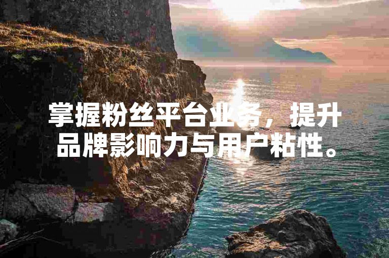 掌握粉丝平台业务，提升品牌影响力与用户粘性。