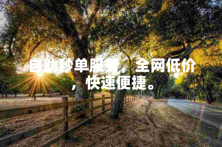 自助秒单服务，全网低价，快速便捷。